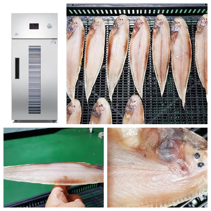 35 to 55 Degree Drying Machine - Commercial Food Dehydrator 评论和价格